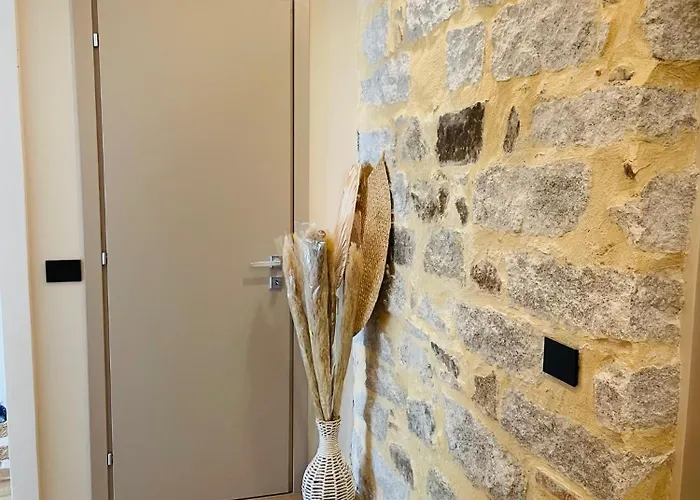 Guest house Le Boulevard & Olbia